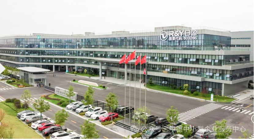 深化德中汽车产业协作｜BVMW 山东代表处到访江苏日盈电子股份有限公司