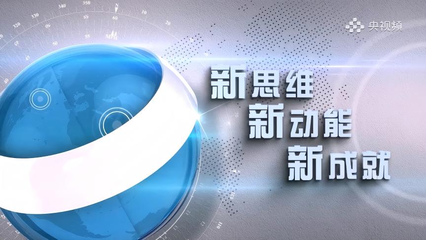 东营市举办中国（东营）-德国“双招双引”交流会