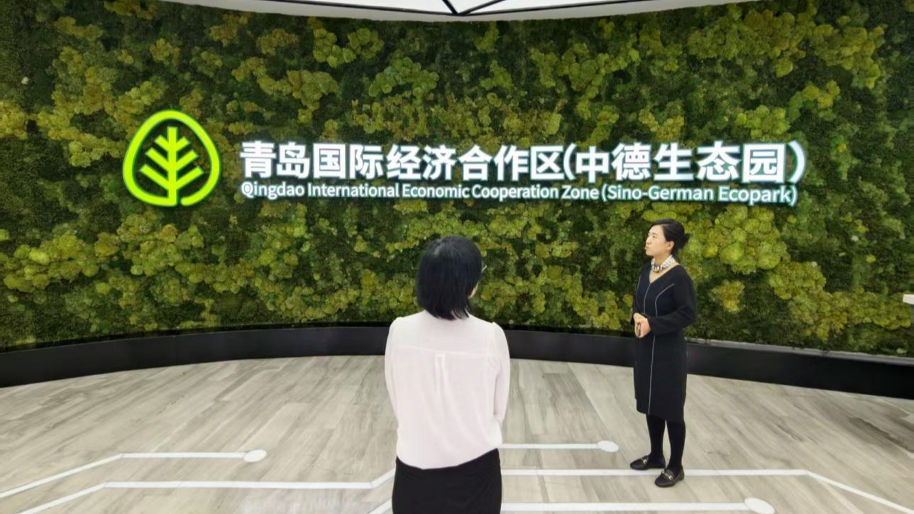 BVMW Shandong Representative Office Visits Sino-German Ecopark to Explore New Cooperation Opportunities
